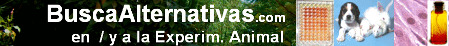 BuscaAlternativas.com